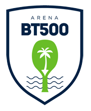 Arena BT 500